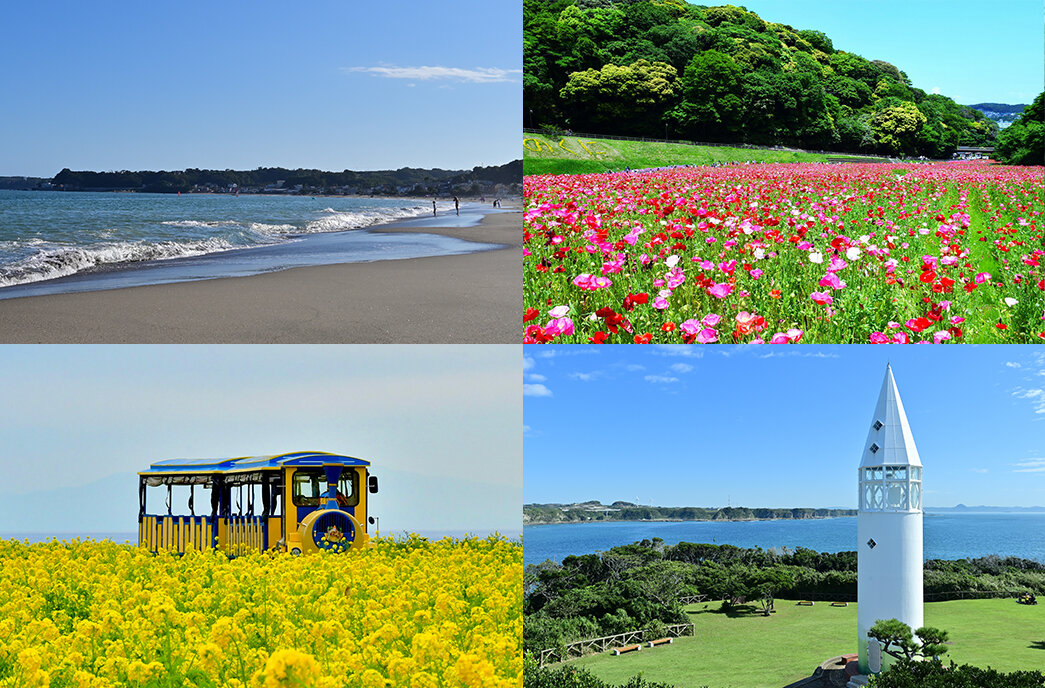 三浦海岸で家族旅行！親子に人気の観光スポットまとめ！アクセス・遊び場・周辺情報つき