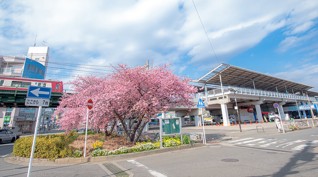 三浦海岸まで徒歩約10分の三浦海岸駅