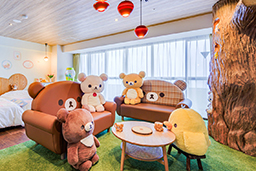 Photo of the Room