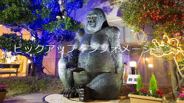 ピックアップインフォメーション｜公式HPからのご予約でお得に宿泊