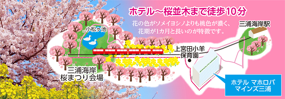 桜祭り地域情報画像.jpg